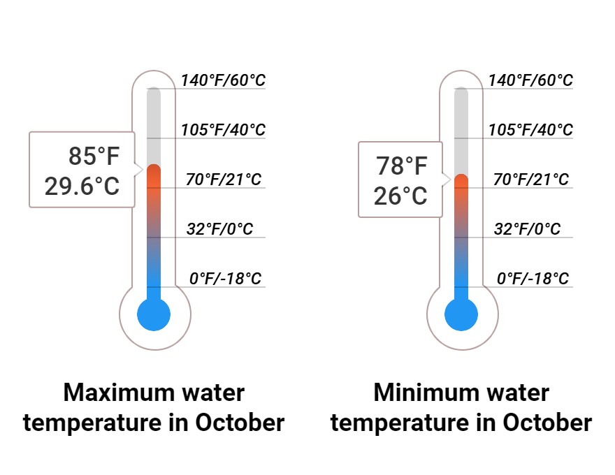 Average Sea temperature